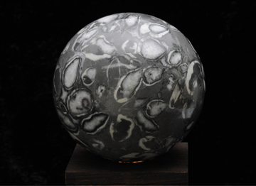 オルソセラス（径210mm）