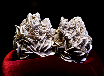 デザートローズ