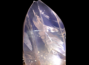 ピンクメタモルフォーゼス